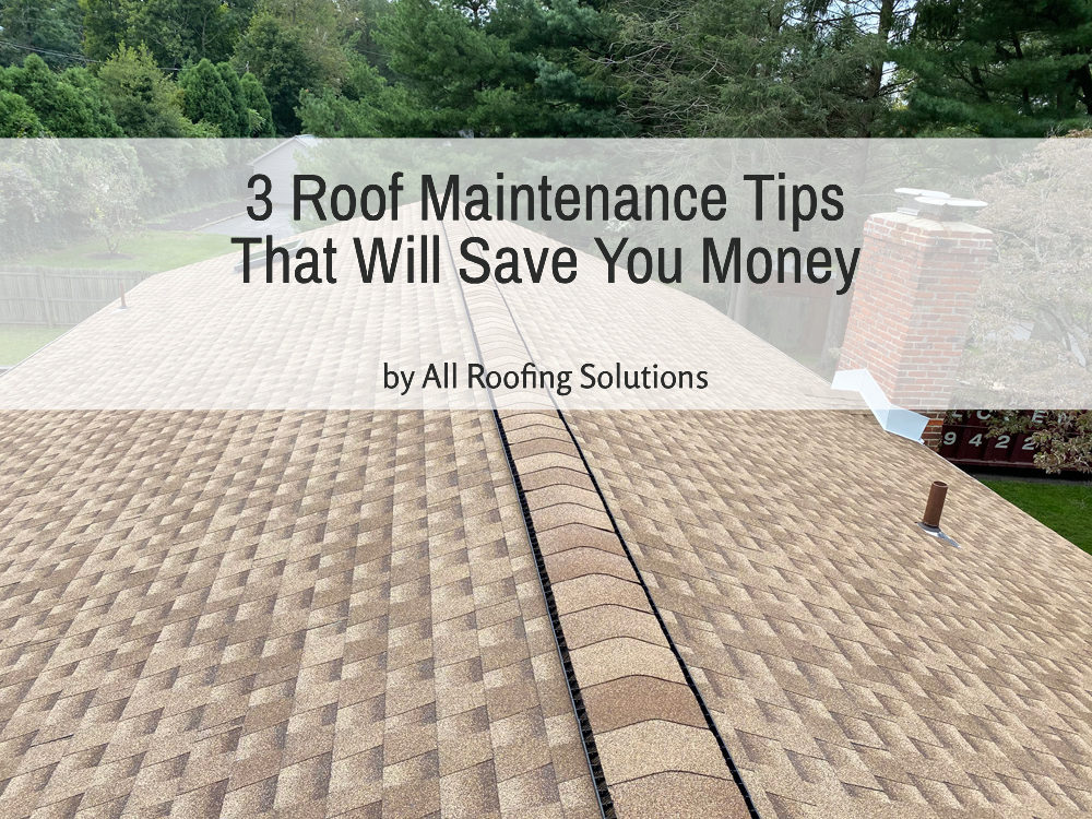3 Roof Maintenance Tips That Will Save You Money