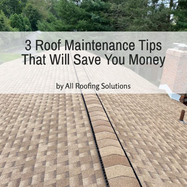 3 Roof Maintenance Tips That Will Save You Money