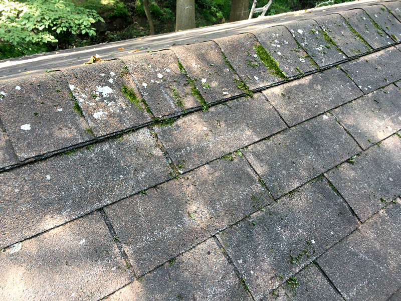 Residential Roofing: Roof Cleaning 101