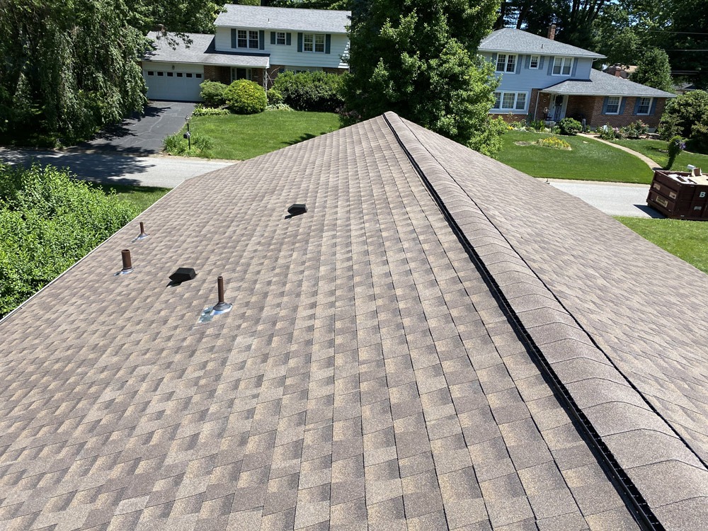 Shingle Roof & Plywood Replacement in Wilmington DE 19810